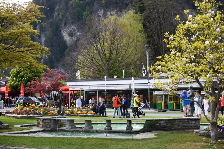 Depuis Genève : transfert privé aller-retour vers la ville d'InterlakenDe Genève à Interlaken tour