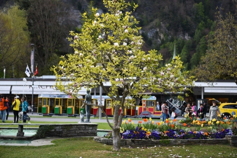 Desde Ginebra: traslado privado de ida y vuelta a la ciudad de InterlakenDe Ginebra a Interlaken tour