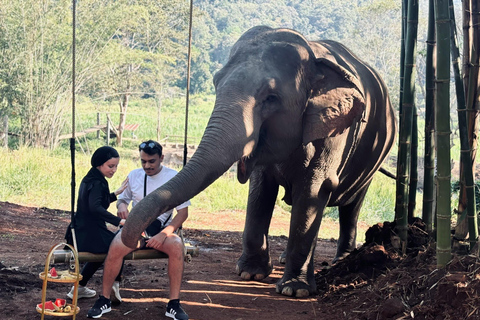 Chiang Mai 2-Day: Good Morning Elephant & Overnight Homestay