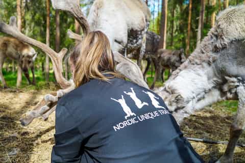 Lapland: Canoeing Trip with Reindeer and Husky Farm Tour