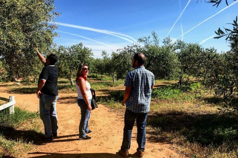 Z Sewilli: wycieczka po farmie oliwy z oliwekWspólna wycieczka