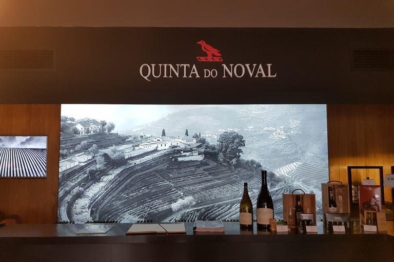 Porto: 3-Hour Port Wine Walking Tour with Tastings