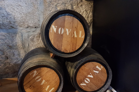 Porto: 3-Hour Port Wine Walking Tour with Tastings