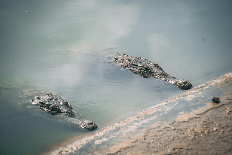 Mangrove Mysteries - Puerto Pizarro Tour