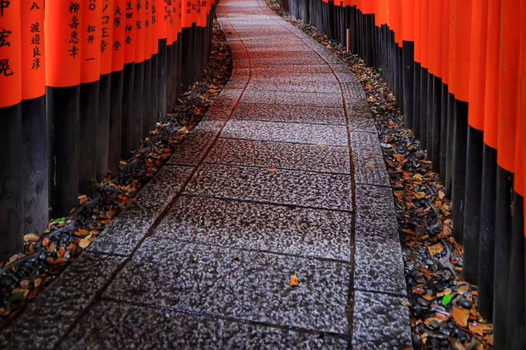 Kyoto: 1-dagars privat guidad resa med upphämtning från hotell