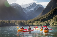 Cruise & Kayak Milford Sound - Housity