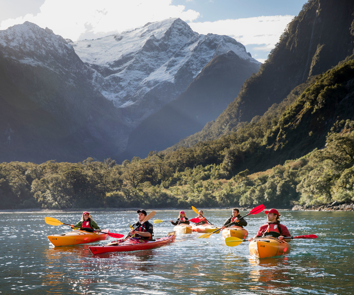 Cruise & Kayak Milford Sound