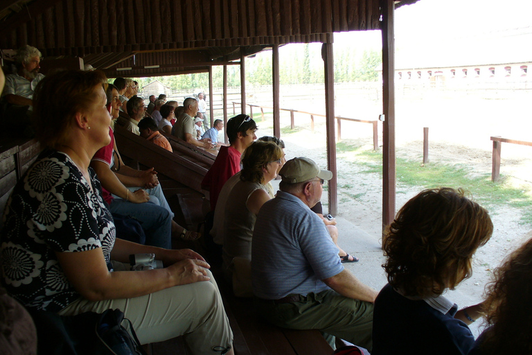 Excursión de día completo a Puszta desde Budapest con almuerzo