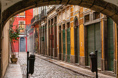 Wycieczka na ląd z portu w Rio de Janeiro: Wycieczka do centrum