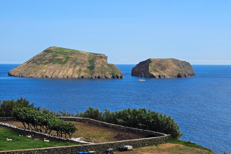 Tour de medio día por la isla Terceira: Bahías Encantadas con degustaciónHorario de invierno