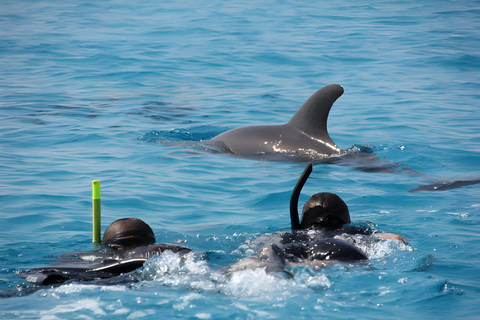 Zanzíbar: tour de un día a la isla Pungume y esnórquelZanzíbar: tour de un día a la isla de Pungume y snorkel