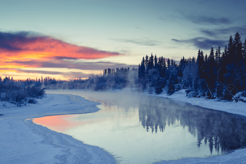 Fairbanks: Excursão de 6 dias à Aurora Boreal