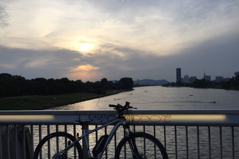 Vienne : visite guidée de 60 minutes en vélo électrique