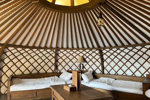 Terelj: Premium Mongolian Ger (Yurt) Overnight Experience Chinggis Khaan Statue + Ger