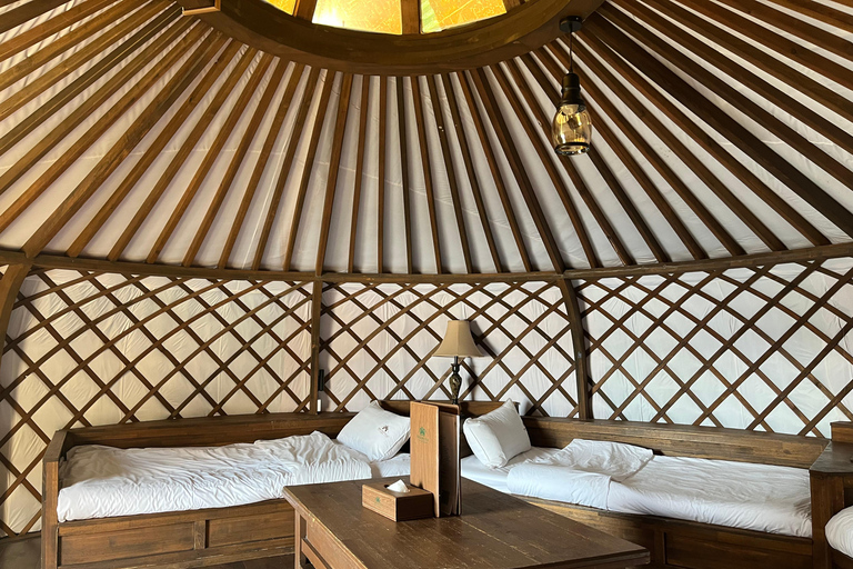 Terelj: Premium Mongolian Ger (Yurt) Overnight Experience Chinggis Khaan Statue + Ger