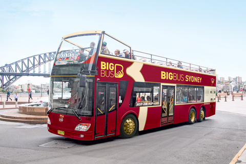 Sydney: Big Bus Hop-On/Hop-Off-Bustour mit kostenlosen Tickets für Kinder24-Stunden Hop-on, Hop-off Ticket, Kids Go Free