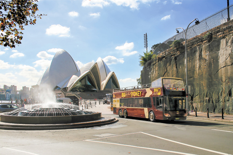 Sydney: Big Bus Hop-on-hop-off-bustour met gratis kindertickets24-uurs Hop-on, Hop-off ticket, kinderen gratis