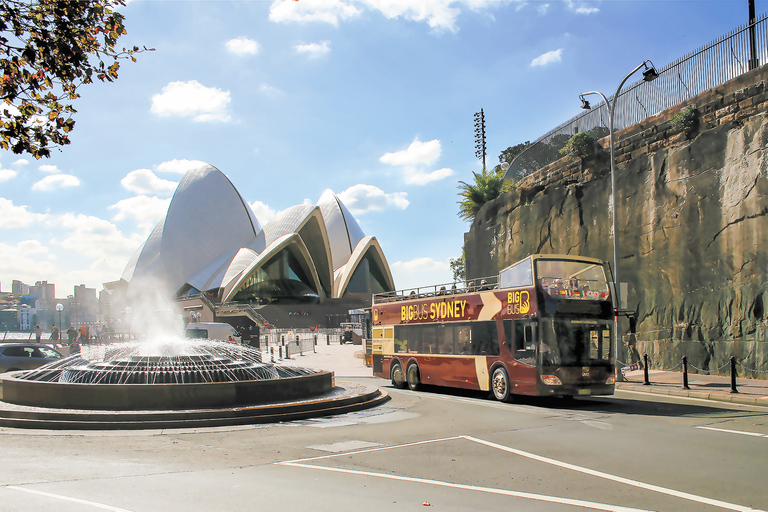 Sydney: Open-Top Bus Hop-On Hop-Off Sightseeing Tour 24-Hour Ticket