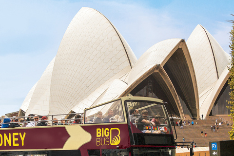 Sydney: Big Bus Hop-On/Hop-Off-Bustour mit kostenlosen Tickets für Kinder24-Stunden Hop-on, Hop-off Ticket, Kids Go Free