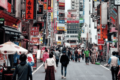 Japan Classic: 10-Day Epic Adventure from Tokyo to Osaka