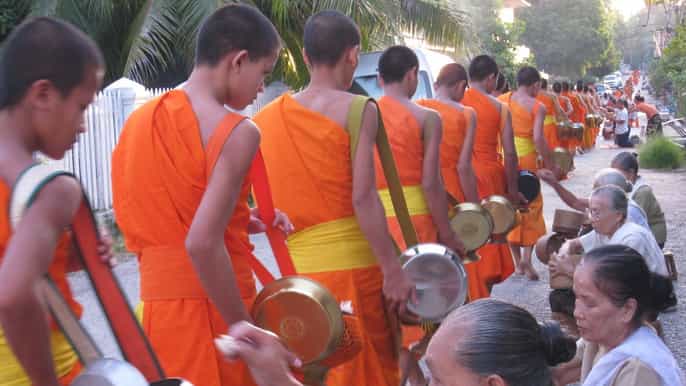 luang prabang 3.5hour almsgiving experience and local tour