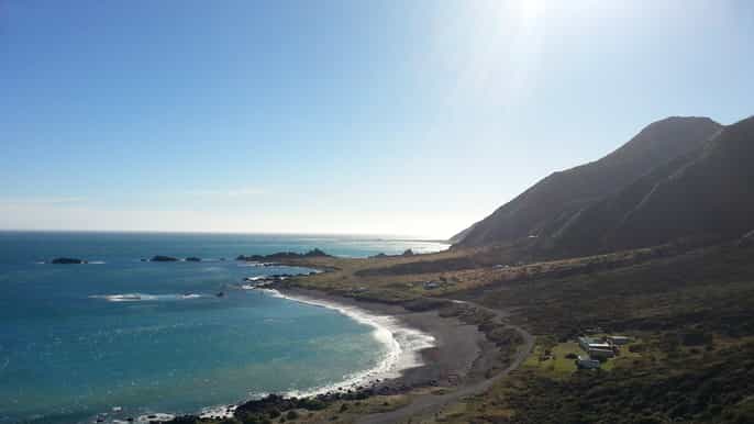 cape palliser coastal explorer walking tour from wellington