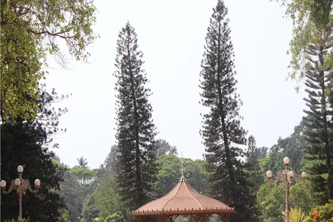 Bangalore: Full-Day Historical Guided Tour