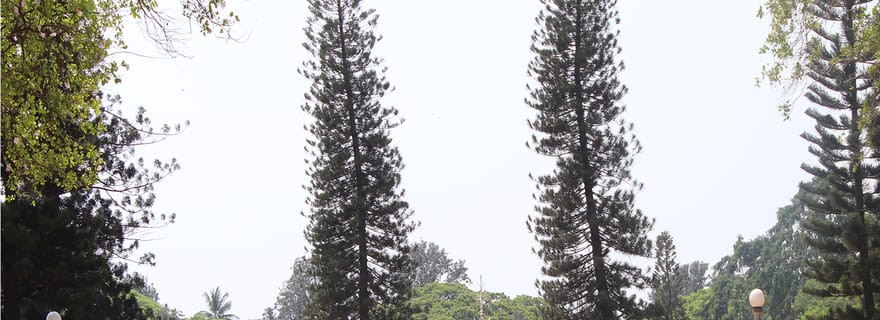 Bangalore : Visite d'une jounée guidée historique
