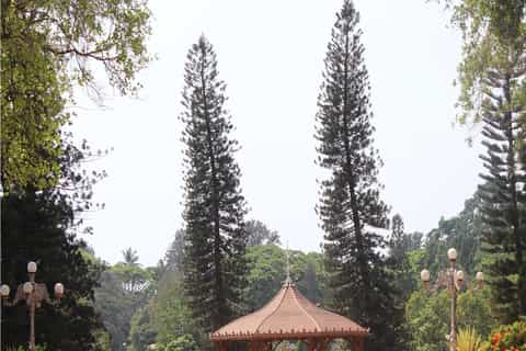 Bangalore: Full-Day Historical Guided Tour