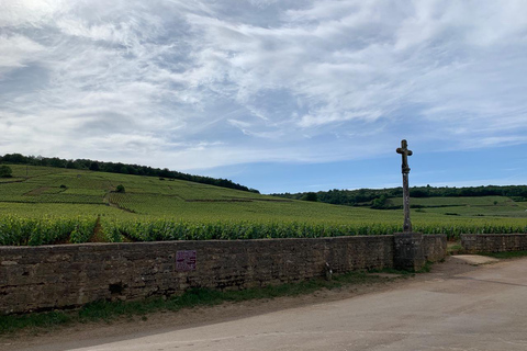 From: Dijon/Beaune: Burgundy Region Winery Tour with Lunch From Dijon