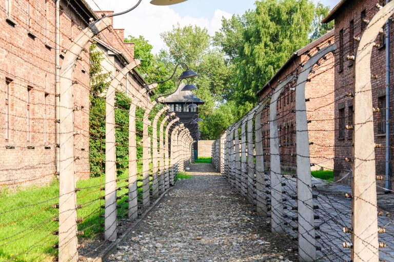 Depuis Cracovie : visite d’une journée à AuschwitzVisite guidée en groupe et transfert partagé