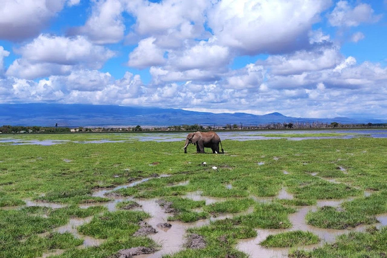 Tour di un giorno del Parco Nazionale di Amboseli e visita al villaggio Maasai