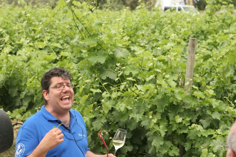 Athènes: visite privée d'une journée des vins Evia avec traitement au spaOption de dégustation premium