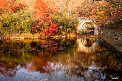unesco ancient capital gyeongju small group tour from busan