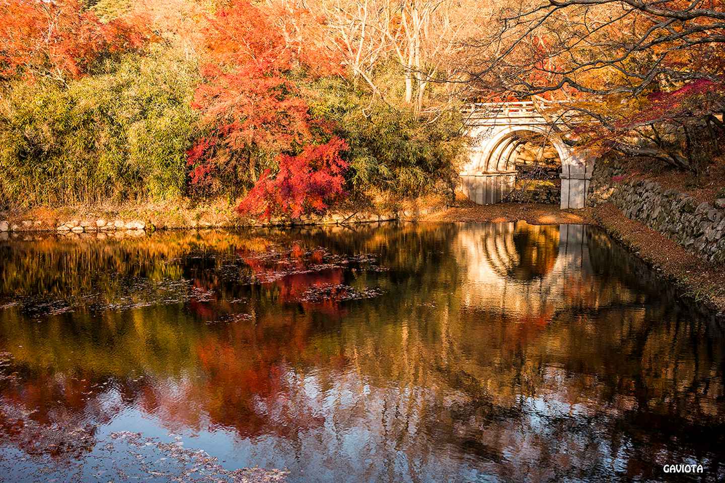 visit the magnificent bulguksa temple