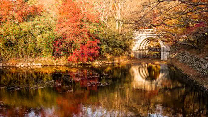 unesco ancient capital gyeongju small group tour from busan