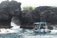 Big Island, South Kona en apnée et exploration du littoral - Housity