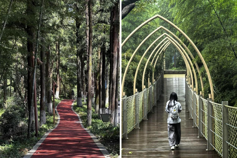 Shanghai: Moganshan Bamboo Hike with 1920s Villas private tour option