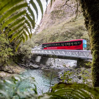 From Te Anau: 1-Day Milford Sound Coach & Cruise