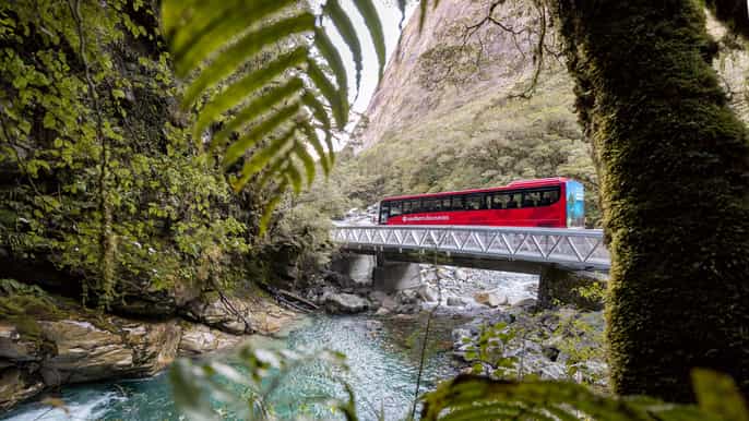 from te anau 1day milford sound coach cruise