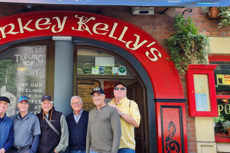 Dublin : Private Sightseeing Tour of Dublin City