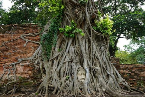 Au départ de Bangkok : Excursion d'une journée à Ayutthaya et au parc national de Khao Yai