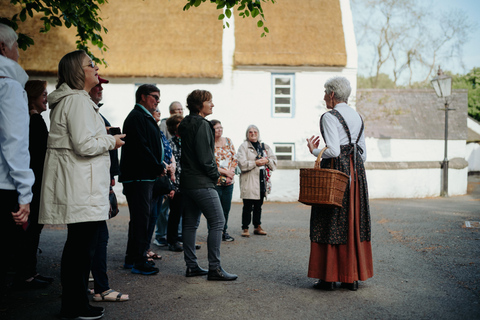 Belfast: Bilet wstępu do Ulster Folk Museum