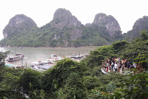 Excursão cultural de 2 dias pela Baía de Halong e Ninh Binh