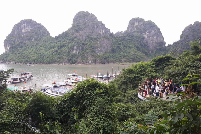 Halong-Bucht und Ninh Binh: 2-tägige Kultur-Tour