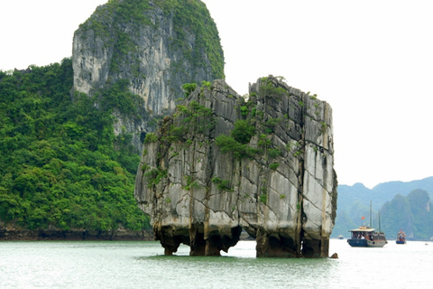 Halong Bay and Ninh Binh 2-Day Cultural Tour