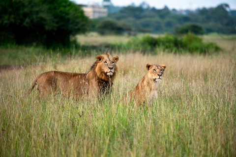 Nairobi: National Park, Karen Blixen & Kazuri Beads Factory
