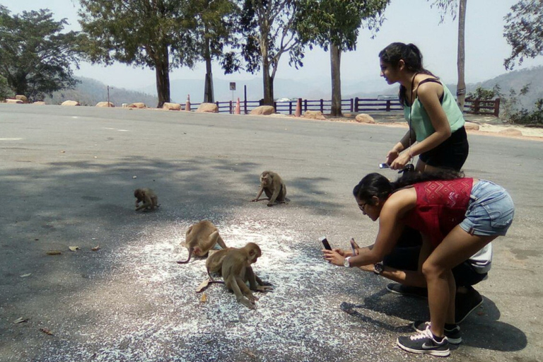 De Bangkok: excursion d'une journée au parc national d'Ayutthaya et Khao YaiParc national d'Ayutthaya et Khao Yai: visite privée