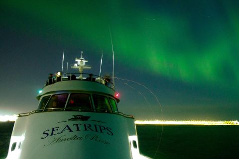 Fra Reykjavik: Nordlysbådtur med luksusyacht