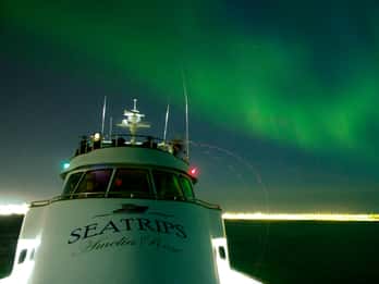 Reykjavik: Per Luxus-Yacht zu den Nordlichtern Reykjavik: Per Luxus-Yacht zu den Nordlichtern